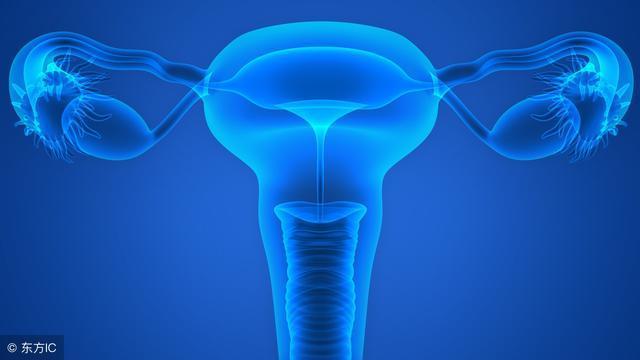 女人“排卵”信号要知道, 想要娃别错过!