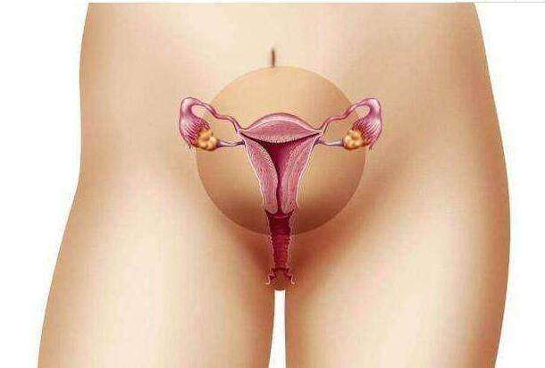 女人卵巢很重要, 保养好才不显老, 每天吃点它, 卵巢年轻没毛病